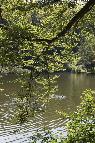 2015-08-22-031.jpg
