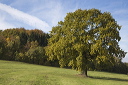 2015-10-24-007