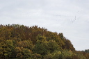 2015-10-25-004