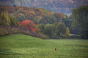 2015-10-25-006