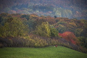 2015-10-25-008