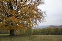2015-10-25-017