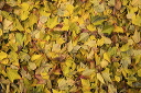 2015-10-27-001