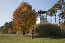 2015-10-27-015