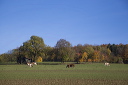 2015-10-27-021