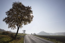 2015-10-31-003
