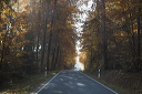 2015-10-31-014