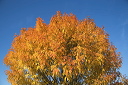 2015-11-01-033