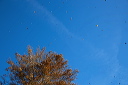 2015-11-02-008
