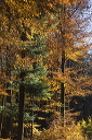 2015-11-02-015