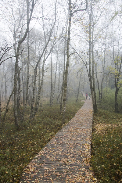 2015-10-24-023.jpg