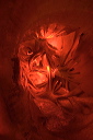 2008-05-07-012