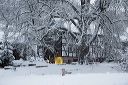 2012-12-13-008